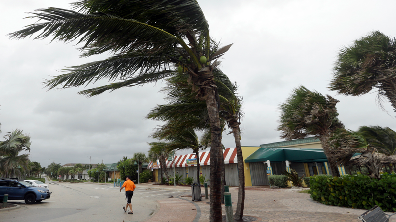 Palm trees sway in high gusts of wind, Thursday, Oct. 6, 2016, in Vero Beach, Fla. Hurricane Matthew continues to make a path for Florida’s east coast from the Bahamas. (Image: AP)